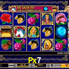 Experiência VIP Px7